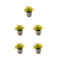 thumbnail image 1 of Decodeary Green Eco-friendly Artificial Money Tree In Pot Long-lasting Durability Realistic Appearance orange rose 5Set, 1 of 6