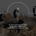 thumbnail image 4 of Avian X AXP 6 Pcs Leurre de Sentinelle Réaliste pour Chasse en Plein Air, 4 of 8