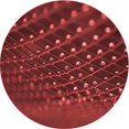 thumbnail image 1 of Ahgly Company Tapis Rond Lavable en Machine Intérieur Transitionnel Rouge Canneberge, 4 Pieds Rond, 1 of 7