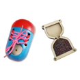 thumbnail image 1 of figatia Planche, Chaussures d'Entraînement en Corde et Sablier, Multi, 1 of 9