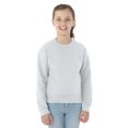 thumbnail image 1 of Jerzees Youth NuBlend Crew Neck Sweatshirt, S, Ash, 1 of 4