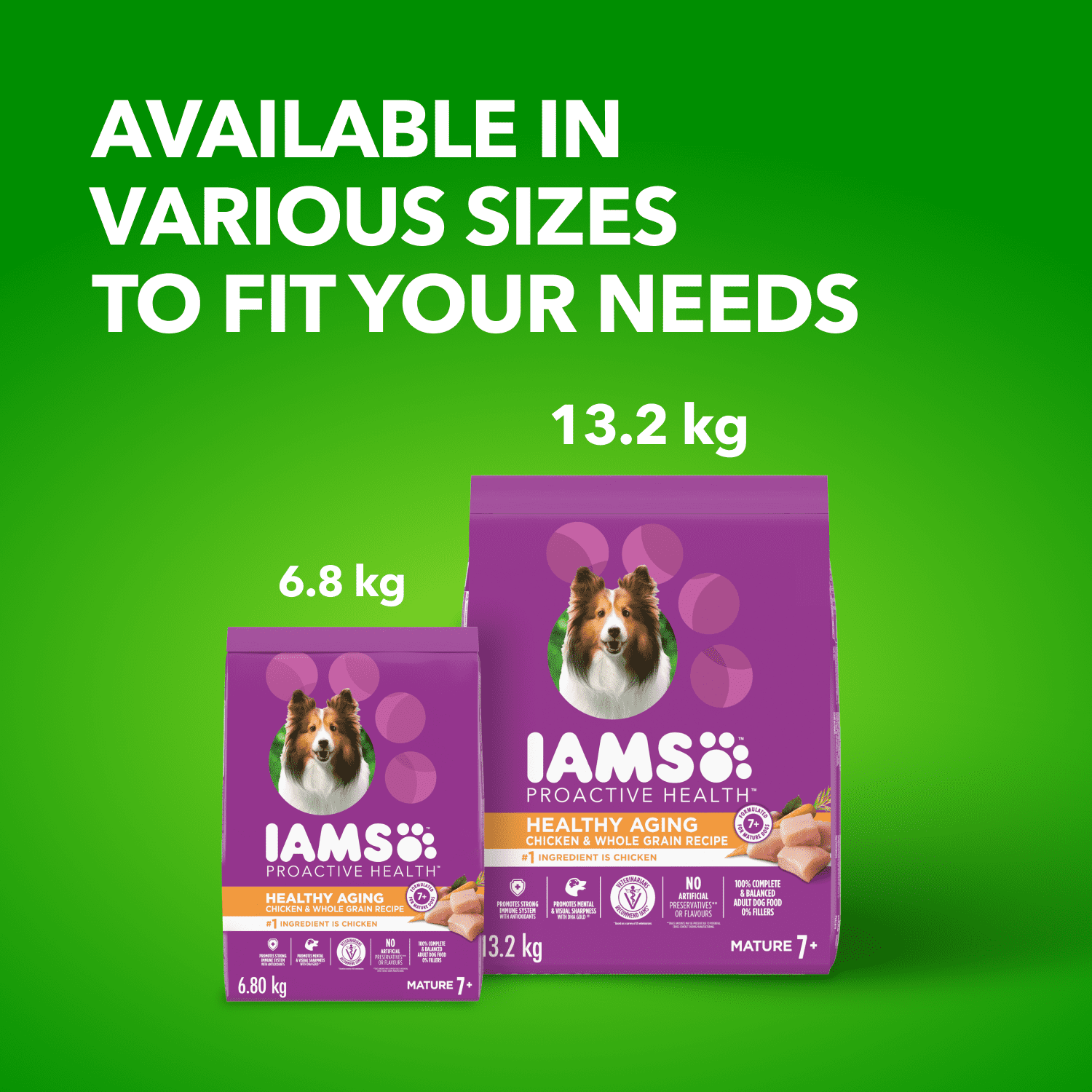 Iams Proactive Health Vieillissement en Santé Sénior Adulte Nourriture Sèche pour Chien Recette au Poulet & Grains Entiers 6.8KG