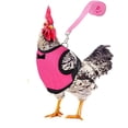 thumbnail image 2 of Chicken Leash Pet Chicken Leash Pet Leash, 2 of 4