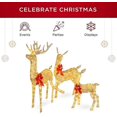 thumbnail image 3 of 3pcs Lighted Christmas Deer Family Set Outdoor Yard Decoration, 3 of 4