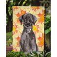 thumbnail image 3 of Carolines Treasures BB9503GF Black Labrador Drapeau d'Automne Format Jardin, 3 of 3