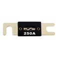 thumbnail image 1 of DB Link 250 Ampères Haute Performance ANL250 - Fusible de Puissance - 250 A, 1 of 2