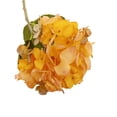 thumbnail image 1 of Hortensia Fleur Séchée Verte pour la Maison et la Décoration, 1 of 3