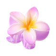 thumbnail image 1 of Flower Clip Retro Hairpin Flower Lady Side Half The Back Of The Head Hairpin, 1 of 5