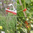 thumbnail image 4 of Plant Tying Machine Tapener Tool for Grapes, Raspberries, Tomatoes and Vining Vegetables, Comes with Tapes,, 4 of 7