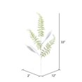 thumbnail image 2 of Vickerman QG192211 33 in. White Fern Leaf Spray - 6 per Bag, 2 of 2