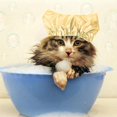 thumbnail image 2 of Pet Shower Ear Protection Waterproof Bath Hat For Cats And Dogs Pet Supplies, 2 of 7