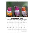thumbnail image 2 of EGNMCR Birds Of Prey Photo Wall Calendar Wall Calendar, 2 of 5