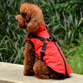 thumbnail image 2 of MesaSe Pet Printed Cold Weather Coat Harness Pet Winter Warm 2 In 1 Outfit Padded Jacket For Small Puppy Dogs, 2 of 7