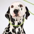 thumbnail image 5 of Dog Training Leash Slip with P Ring Control Reflective Pet Leash for Obedience 1.2m-2m Adjustable Length Automatic Loosening Easy Clean Nylon, 5 of 5