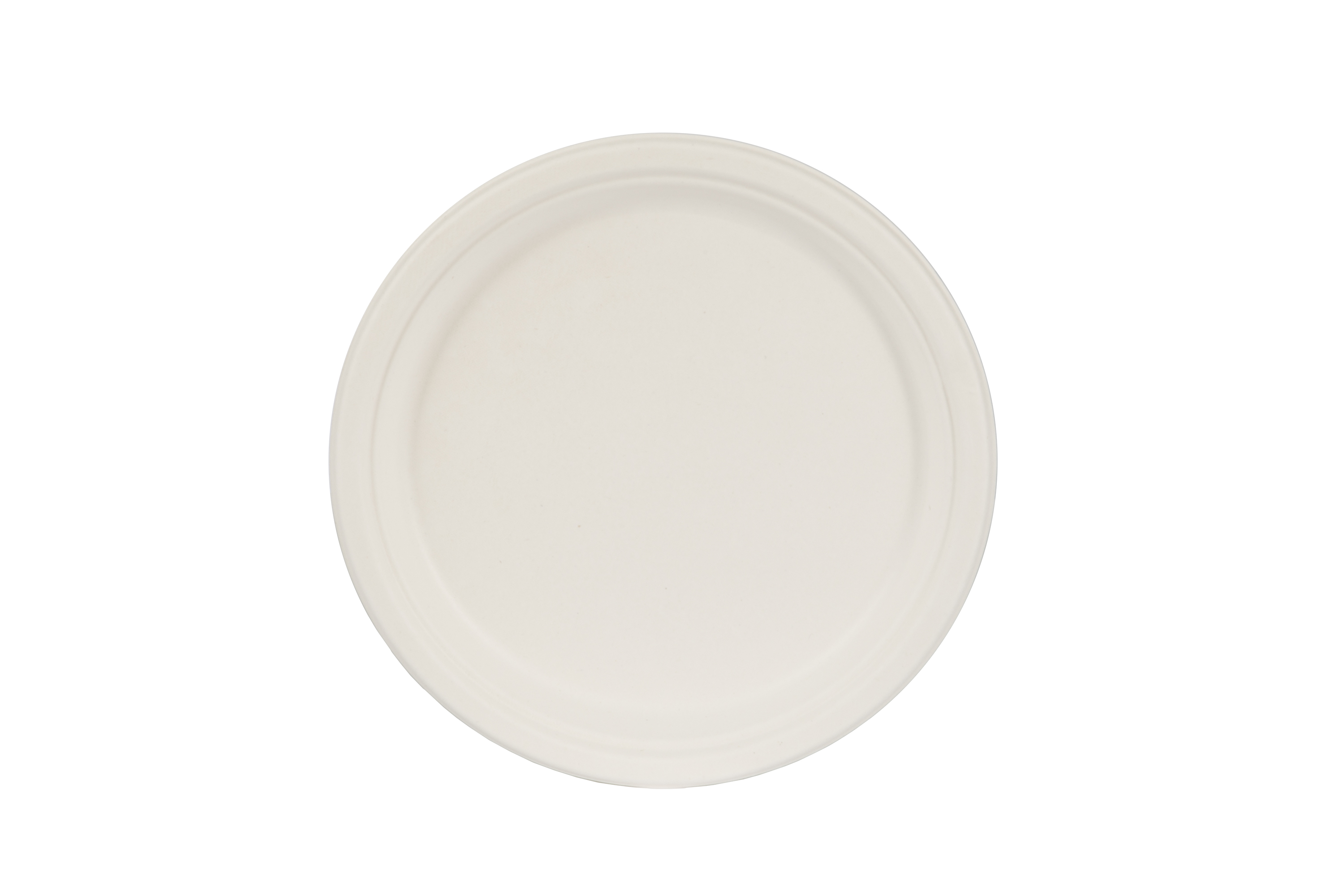 iECO Assiettes à dîner en bagasse 10 po, 125 assiettes