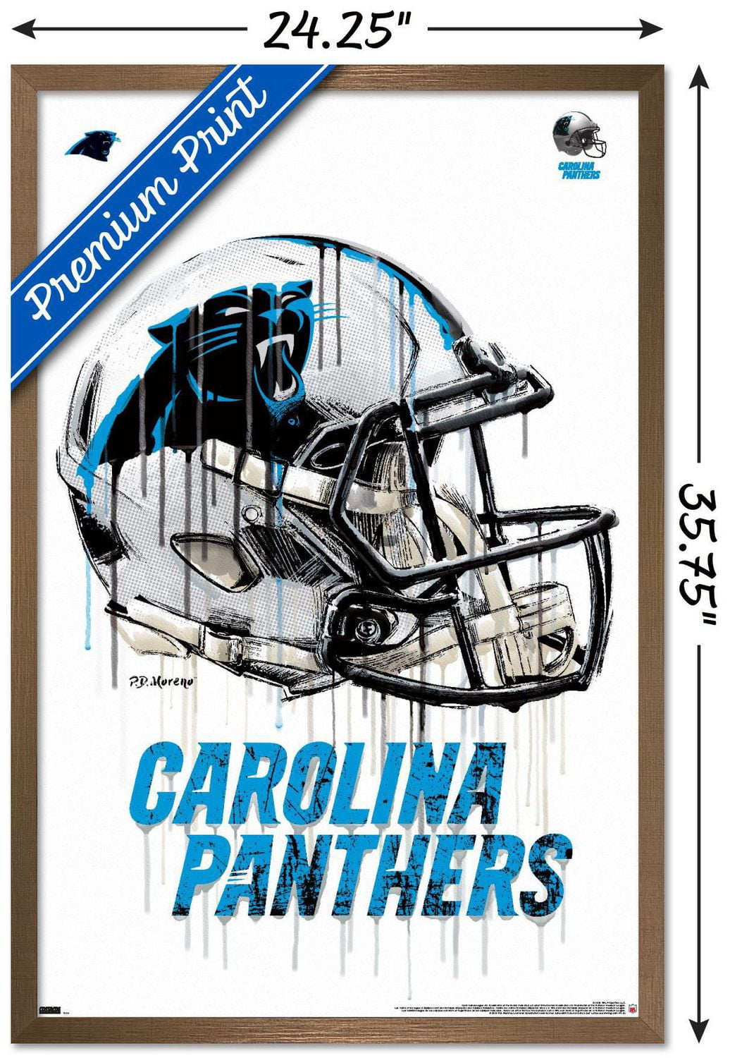 NFL Carolina Panthers