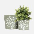 thumbnail image 2 of Grand Pot de Plante Arbre de Vie - 6,5 Pouces, 2 of 3