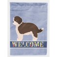 thumbnail image 1 of Carolines Treasures CK3746CHF Havapoo No.1 Welcome Flag Canvas House Size, 1 of 4