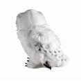 thumbnail image 3 of The Noble Collection Harry Potter Hedwig peluche, 3 of 5