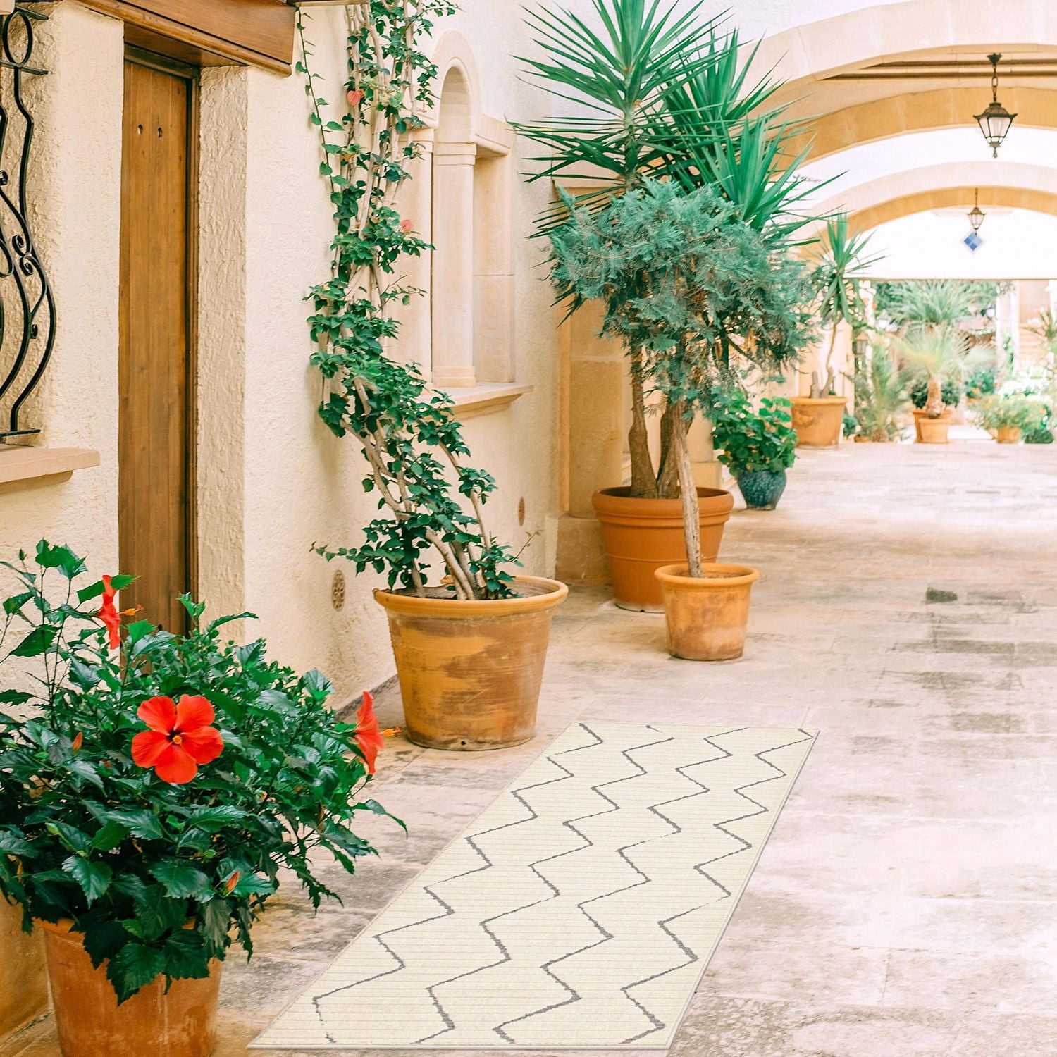 ECARPET Indoor/Outdoor for Balcony, Patio and Garden Raya Ivory Rug