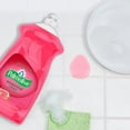 thumbnail image 3 of Palmolive Essential Clean Liquid Dish Soap, Grapefruit Pomegranate Scent - 473 mL, Palmolive Essential Clean, 3 of 5