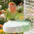 thumbnail image 3 of BotaniNest Natural Parrot Stand With Grooming Branches For Climbing Chewing And Care, 3 of 6