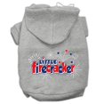 thumbnail image 1 of Petit Pétard Sérigraphie Hoodies Gris S (10), 1 of 1