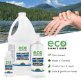 thumbnail image 2 of Hand Sanitizer Gel 70% Ethyl Alcohol - Assorted Bundle, 2 of 7