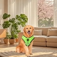 thumbnail image 4 of TIELUTT Light Up Leash Adjustable Reflective Harness USB Rechargeable LED Collar Belly Bands for Male Dogs with Snaps Ring Large Cat Coyote Vest Step Gear Pedometer Puppy Sweaters for Small Dogs Extr, 4 of 4