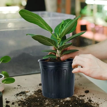 Apmemiss Pot de Semis en Liquidation avec Trous de Drainage 20 Pcs Matériau Plastique Réutilisable Intérieur et Extérieur Fleurs Succulentes Cactus Graines Semis Pot de Semis