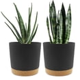 thumbnail image 1 of QCQHDU 2 Pack Plant Pot, Black Plastic Indoor Planter With Drainage Holes And Removable Base, 1 of 6