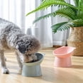 thumbnail image 4 of Bol d'Alimentation pour Animaux Incliné à 15 Degrés Antidérapant et Rabattable Bol pour Animaux Bols pour Chiens, 4 of 4