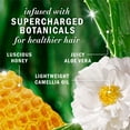 thumbnail image 3 of Herbal Essences Hydrate + Restore Honey Sulfate-Free Shampoo, 400ml, 3 of 13
