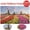 D, variant on Adults Puzzles 500 Piece Large Puzzle Game Interesting Toys Personalized Gift