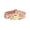 D, variant on Cat Collar Toy Interactive Toys for Indoor Cats Stick Funny a Variety of Ways to Play Wand Dog Squeak Small Slow Feeder Bowl Coffin
