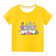 thumbnail image 2 of TIMIFIS Tee Garçons Filles T-Shirts Graphiques Chemises de Pâques Unisexes Enfants Col Rond Manches Courtes Chemises Enfants Gnomes Mignons Imprimé Œufs T-Shirt, 11 Ans, 2 of 4