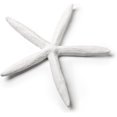 thumbnail image 1 of Abbott Collection Étoile de Mer Simple Moyenne - Résine, Blanc (6 Pouces L), 1 of 2