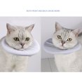 thumbnail image 2 of EastVita Collier Conique Souple pour Chat, Collier Conique pour Chat Ajustable et Souple, Collier Conique Léger pour Animal de Compagnie Empêchant le Léchage et la Morsure, Collier Conique Protecteur, Cônes pour Chat après Chirurgie pour Chatons, 2 of 7