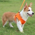 thumbnail image 1 of Flmtop Traction Rope 360 Degree Reflective Design Explosion Proof Polyester Pet Dog Chest Strap for Outdoor Navy Blue, 1 of 9