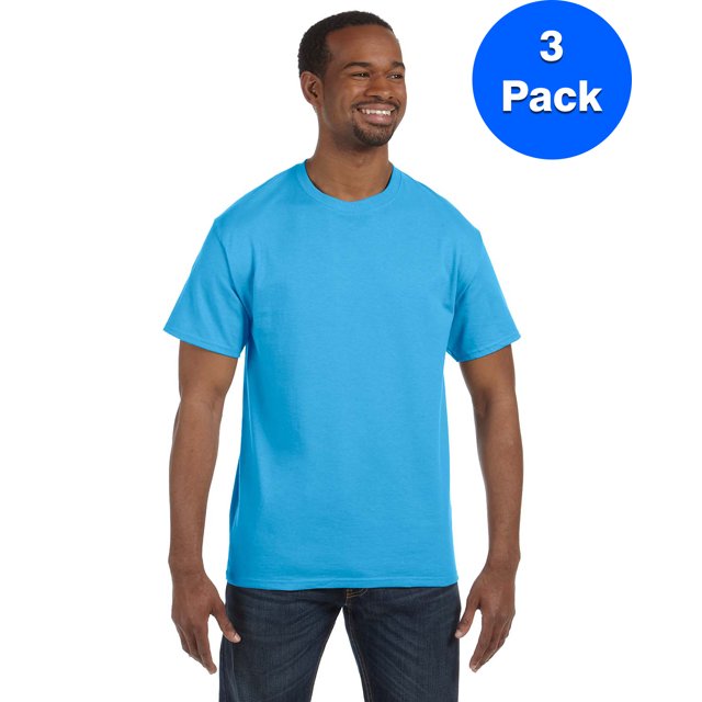 Hanes Men's Authentic-T T-Shirt - 5250T (Pack Of 3)