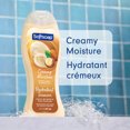 thumbnail image 2 of Softsoap Moisturizing Body Wash, All Skin Types, Shea and Almond Oil, 20 fl oz Bottle, 2 of 9