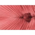 thumbnail image 1 of Ahgly Company Tapis d'Intérieur Rectangulaire Rouge Lavable en Machine, 3 Pieds x 5 Pieds, 1 of 7