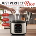 thumbnail image 2 of Gourmia Rice & Grain Cooker & Steamer with One-Touch Controls, Nonstick Pot, 12 Cup Cooked (6 Cup Uncooked) Capacity, Stainless Steel, 2 of 10