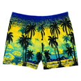 thumbnail image 2 of AMERTEER Man Shorts Loose Plus Size Polyester Flat Corner Printed Beach Shorts for Spa, 2 of 10