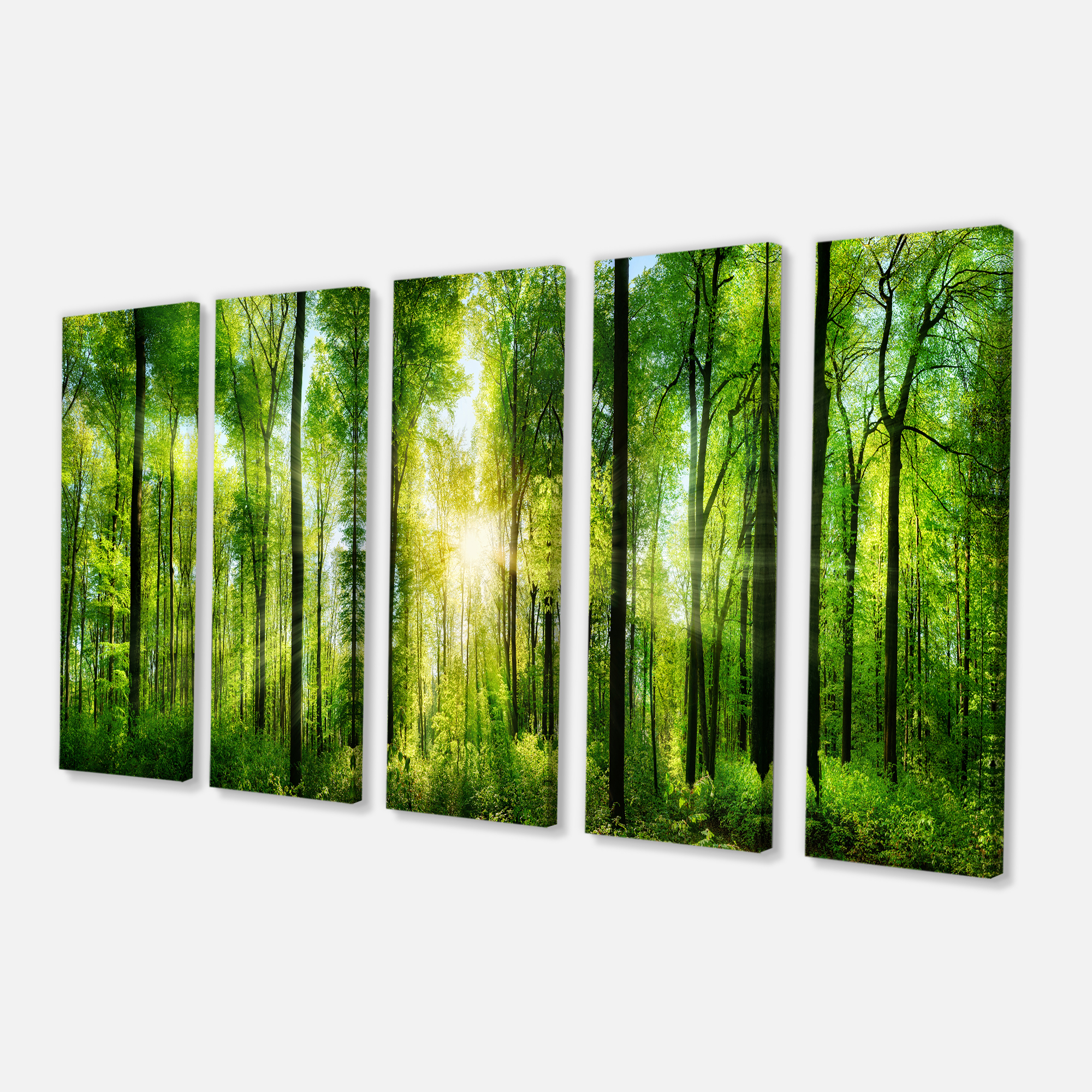 Tableau à toile imprimée Design Art Paysage Panorama Forêt avec rayons de soleil
