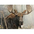 thumbnail image 2 of Cobble Hill Jigsaw Puzzle - Bull Moose, 500 Piece Puzzle, 2 of 3