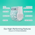 thumbnail image 3 of Rascals Premium Absorbent Baby Diapers, Size 7, Small Carton, 40 Count, 3 of 9