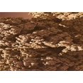 thumbnail image 1 of Ahgly Tapis Rectangulaire Lavable en Machine Intérieur Rouge Nuit, 5 Pieds x 7 Pieds, 1 of 7
