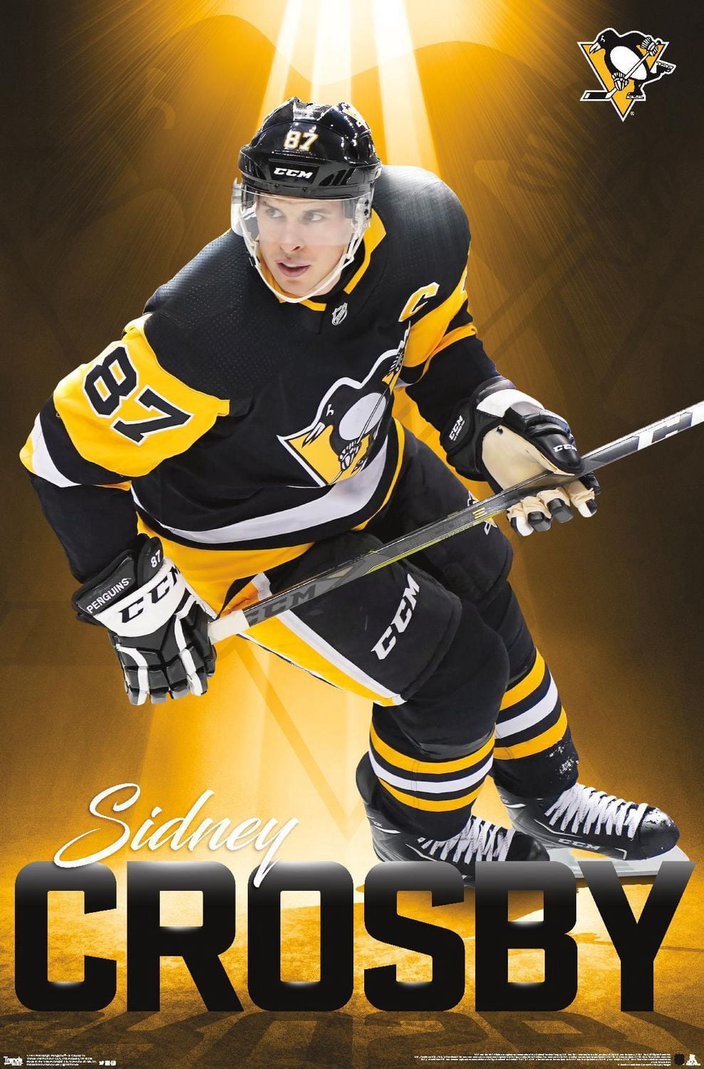NHL Pittsburgh Penguins - Sidney Crosby 18 Wall Poster