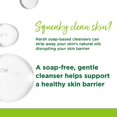 thumbnail image 3 of Simple Refreshing Facial Wash,150ml Each (Pack of 2), 3 of 5